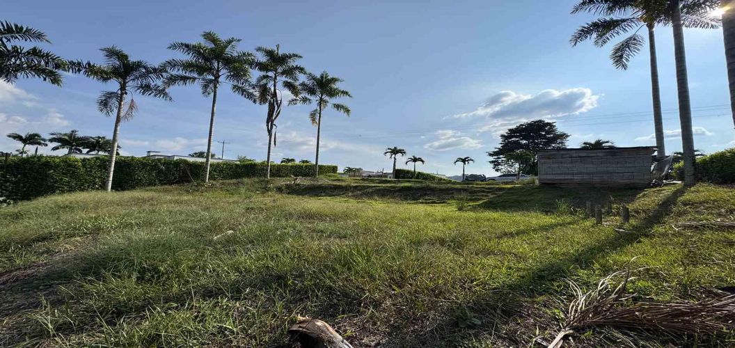 Lote en venta en Combia, Pereira, 2000 m² · foto 6 de 17