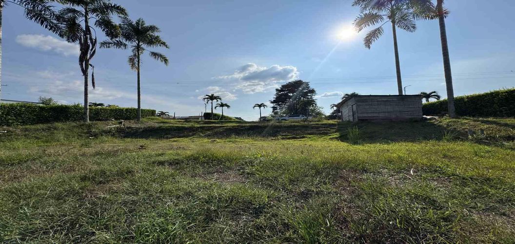 Lote en venta en Combia, Pereira, 2000 m² · foto 7 de 17