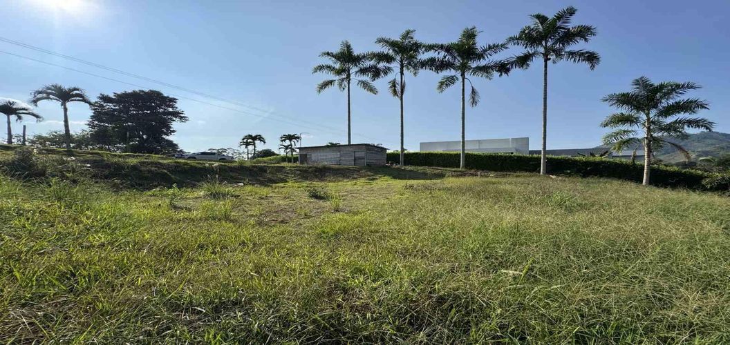 Lote en venta en Combia, Pereira, 2000 m² · foto 9 de 17
