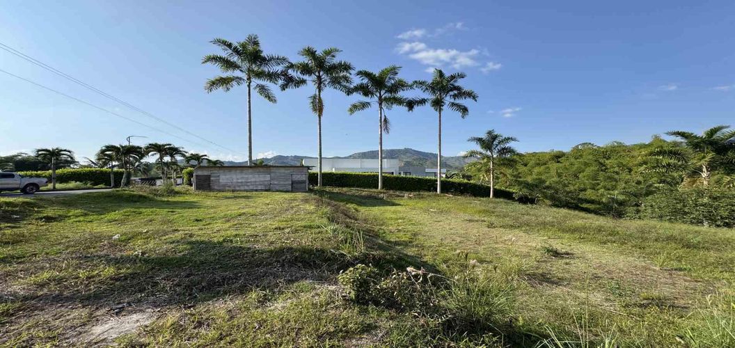Lote en venta en Combia, Pereira, 2000 m² · foto 10 de 17