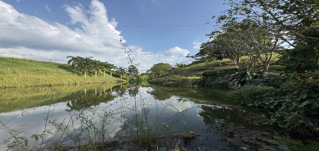 Lote en venta en Combia, Pereira, 2000 m² · foto 13 de 17