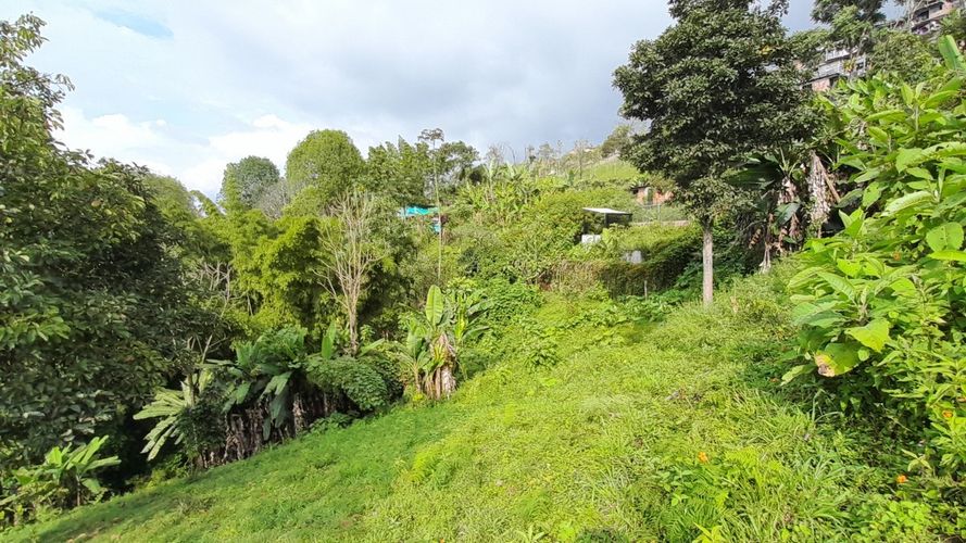 Lote en venta en Olivares, Manizales, 3150 m² · foto 2 de 17