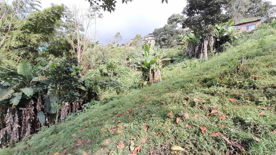 Lote en venta en Olivares, Manizales, 3150 m² · foto 3 de 17