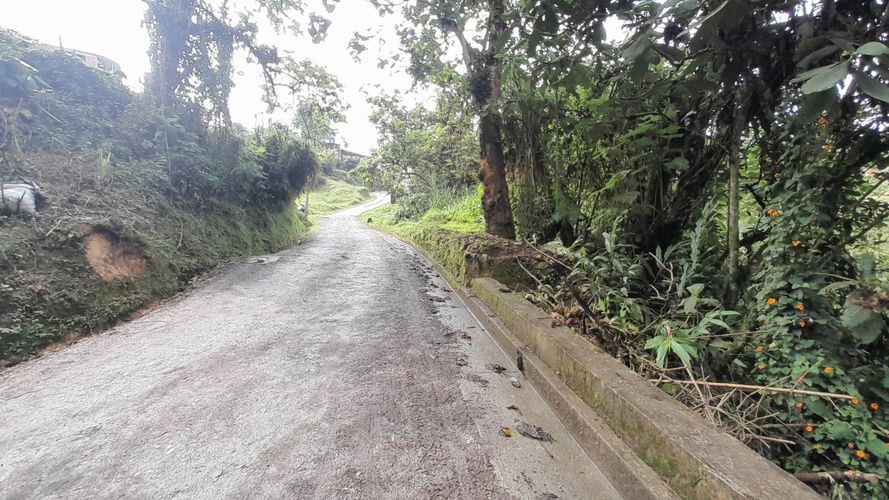 Lote en venta en Olivares, Manizales, 3150 m² · foto 4 de 17