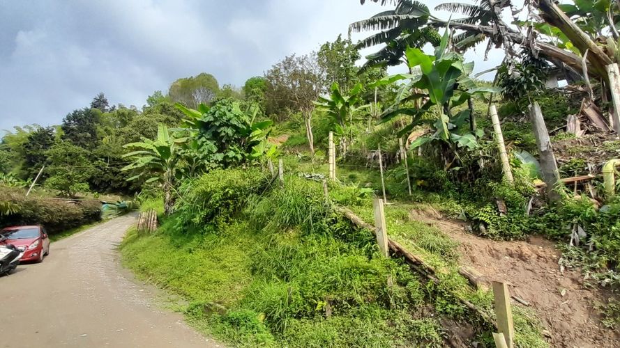 Lote en venta en Olivares, Manizales, 3150 m² · foto 5 de 17