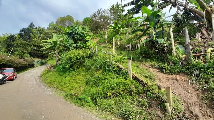 Lote en venta en Olivares, Manizales, 3150 m² · foto 6 de 17