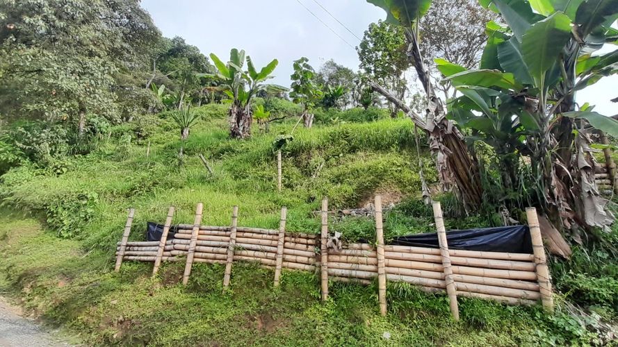 Lote en venta en Olivares, Manizales, 3150 m² · foto 7 de 17