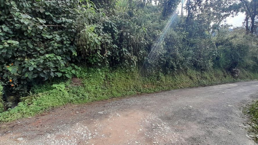 Lote en venta en Olivares, Manizales, 3150 m² · foto 8 de 17