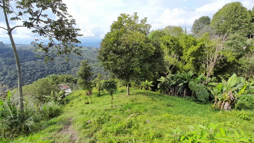 Lote en venta en Olivares, Manizales, 3150 m² · foto 9 de 17