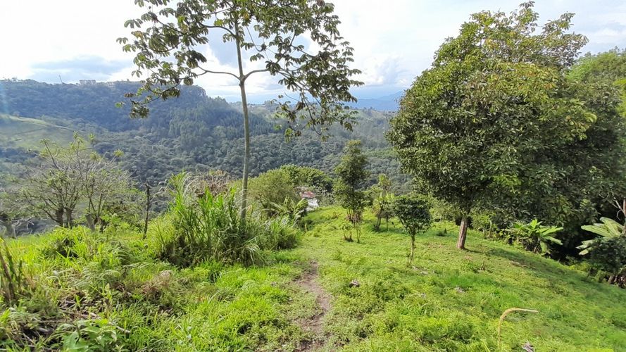 Lote en venta en Olivares, Manizales, 3150 m² · foto 10 de 17