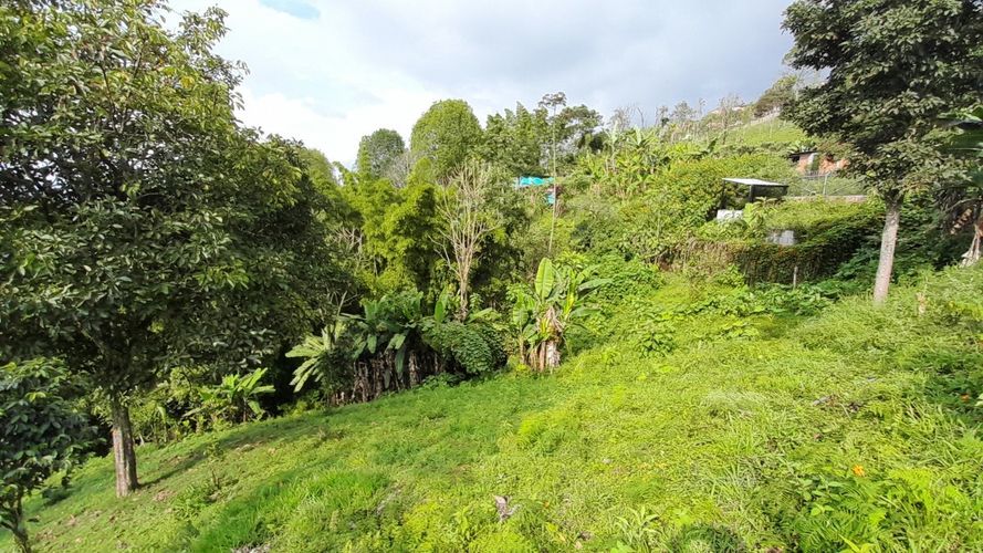 Lote en venta en Olivares, Manizales, 3150 m² · foto 11 de 17