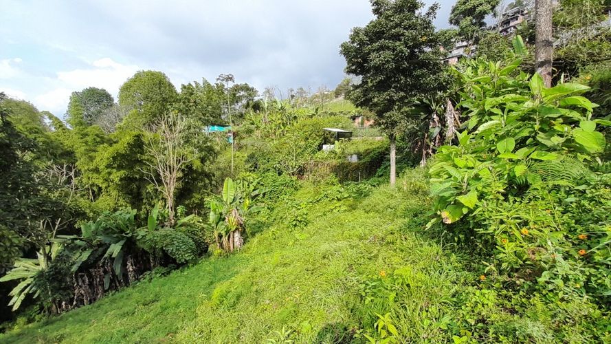 Lote en venta en Olivares, Manizales, 3150 m² · foto 12 de 17