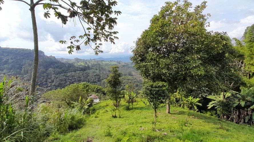 Lote en venta en Olivares, Manizales, 3150 m² · foto 13 de 17