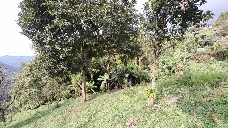 Lote en venta en Olivares, Manizales, 3150 m² · foto 15 de 17