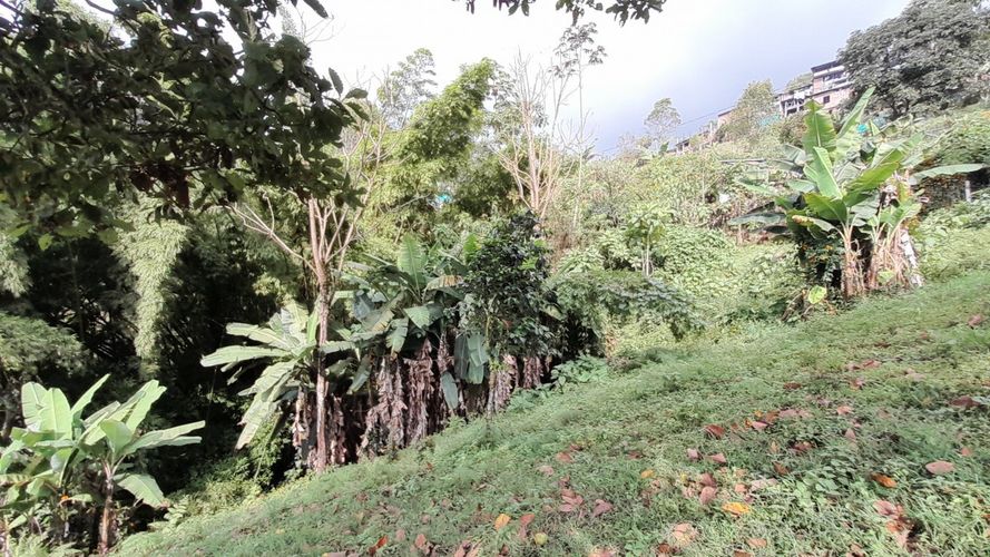 Lote en venta en Olivares, Manizales, 3150 m² · foto 16 de 17