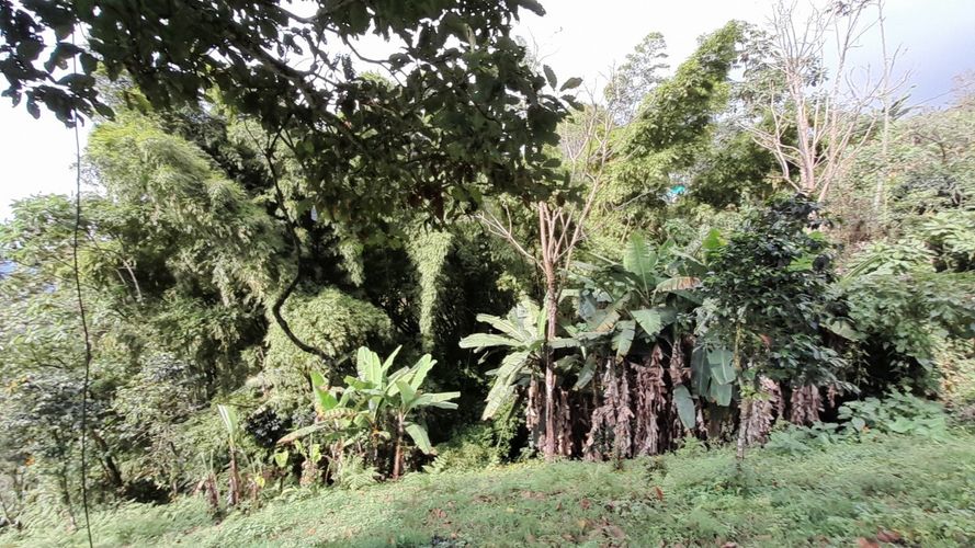 Lote en venta en Olivares, Manizales, 3150 m² · foto 17 de 17