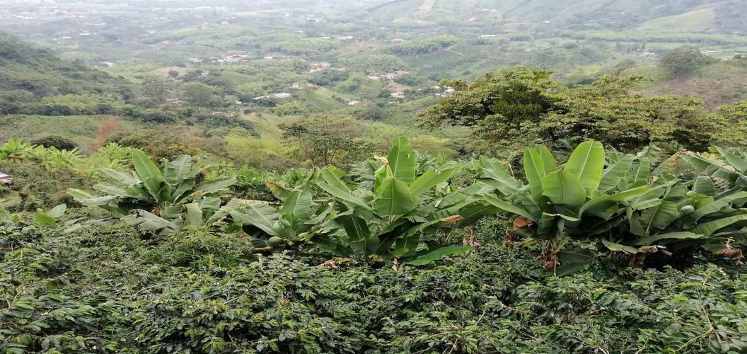 Finca en venta en Combia  Alta, Pereira, 140 m² · foto 22 de 24