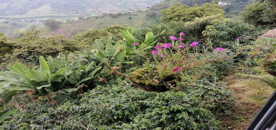 Finca en venta en Combia  Alta, Pereira, 140 m² · foto 24 de 24