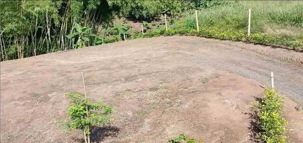 Lote en venta en Sector Plaza De Bolivar, Pereira · foto 2 de 12