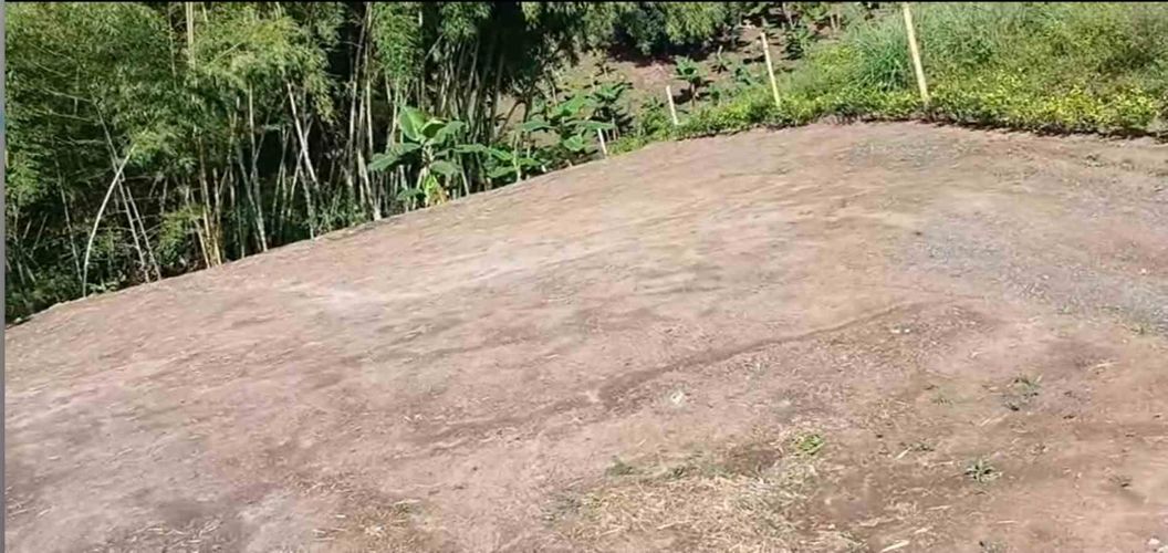 Lote en venta en Sector Plaza De Bolivar, Pereira · foto 3 de 12