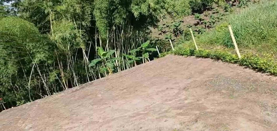 Lote en venta en Sector Plaza De Bolivar, Pereira · foto 5 de 12