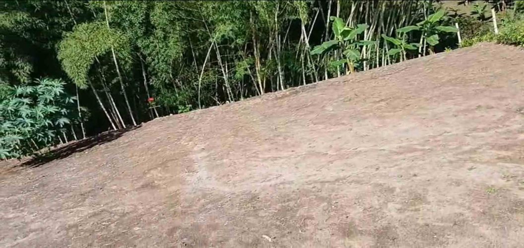 Lote en venta en Sector Plaza De Bolivar, Pereira · foto 6 de 12