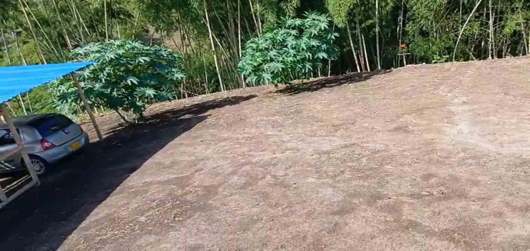 Lote en venta en Sector Plaza De Bolivar, Pereira · foto 7 de 12