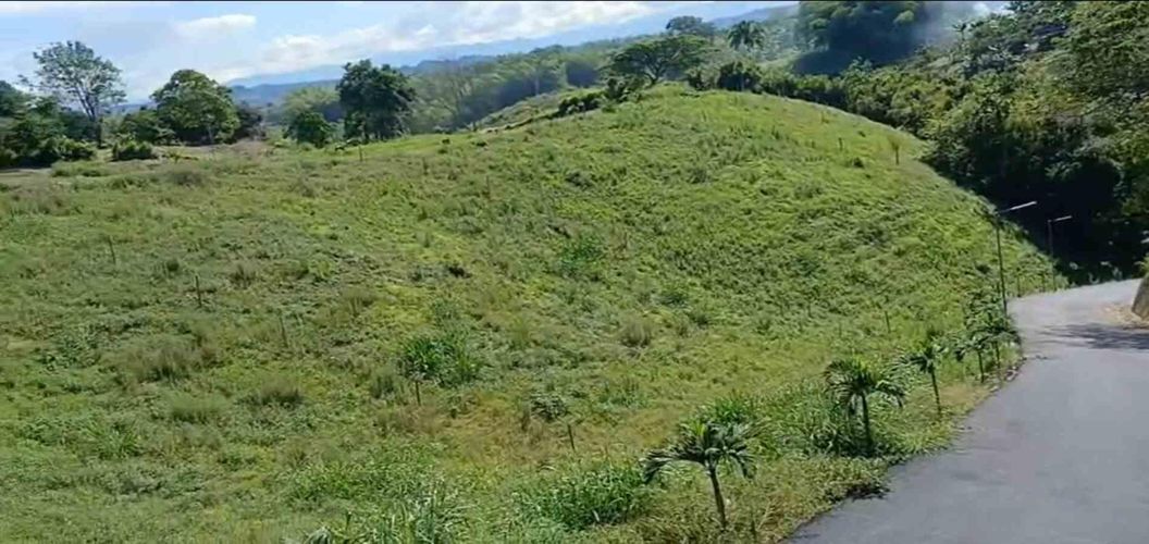 Lote en venta en Sector Plaza De Bolivar, Pereira · foto 9 de 12