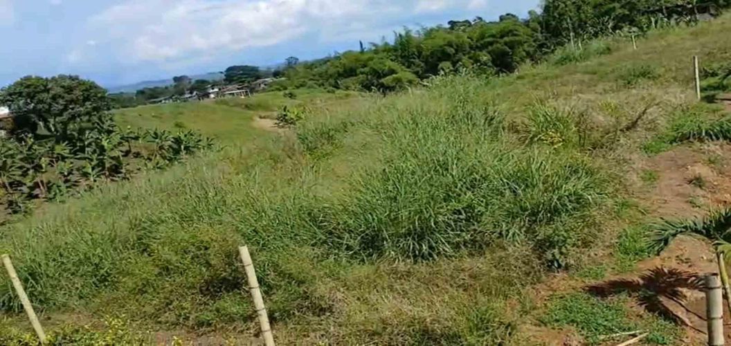 Lote en venta en Sector Plaza De Bolivar, Pereira · foto 10 de 12
