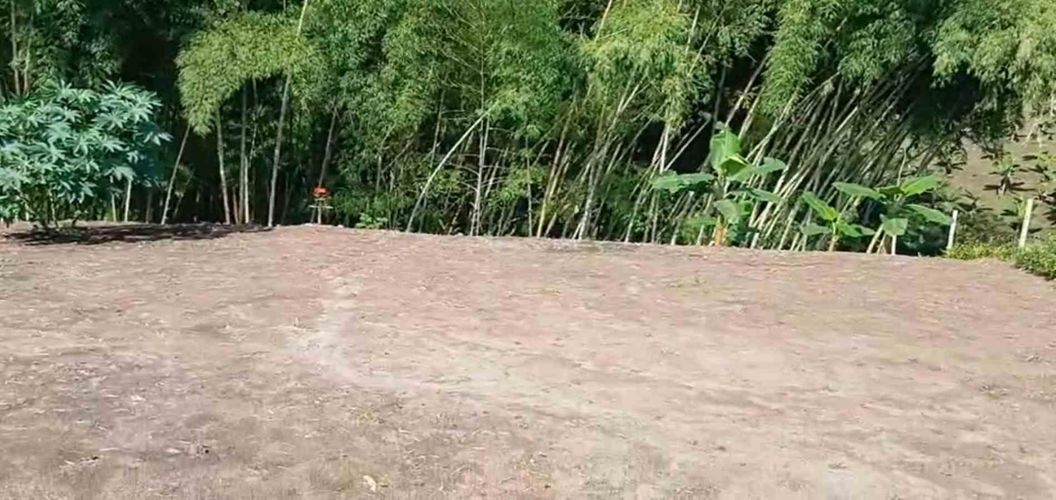 Lote en venta en Sector Plaza De Bolivar, Pereira · foto 12 de 12