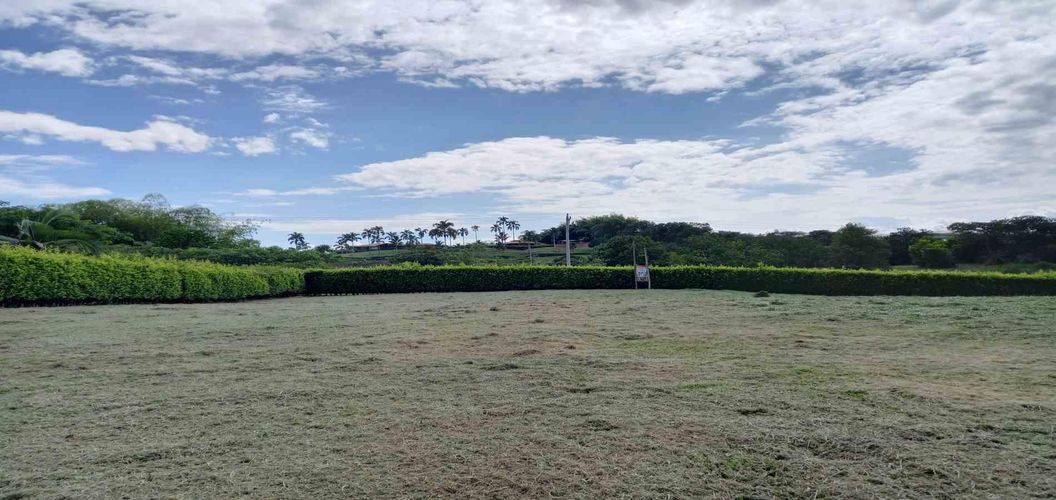 Lote en venta en Cerritos, Pereira · foto 2 de 7