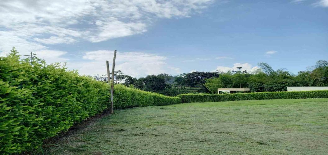 Lote en venta en Cerritos, Pereira · foto 6 de 7