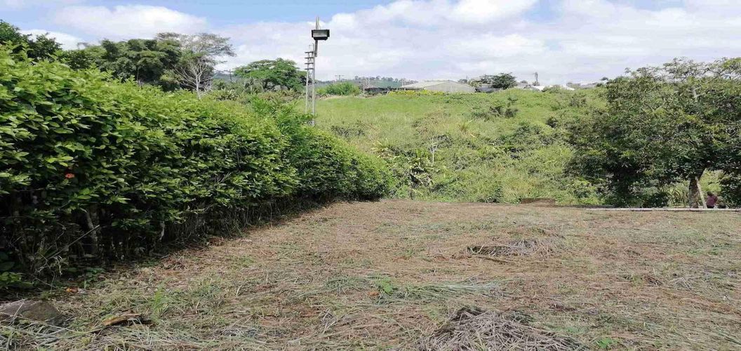 Lote en venta en Combia, Pereira, 3050 m² · foto 5 de 7