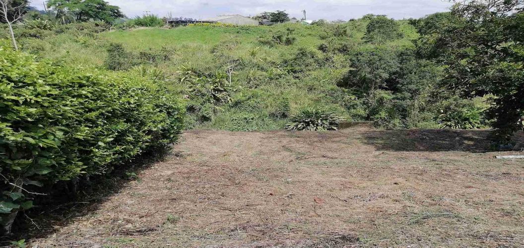 Lote en venta en Combia, Pereira, 3050 m² · foto 6 de 7