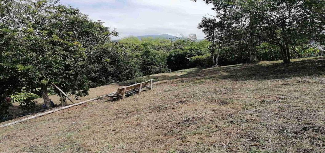 Lote en venta en Combia, Pereira, 3050 m² · foto 7 de 7