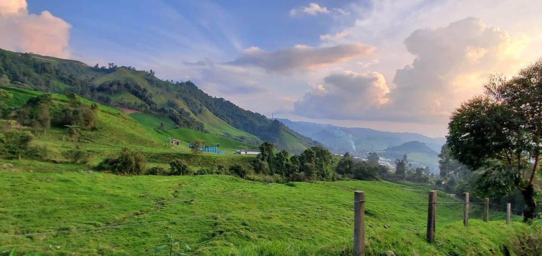 Lote en venta en Malteria, Manizales, 19200 m² · foto 4 de 19