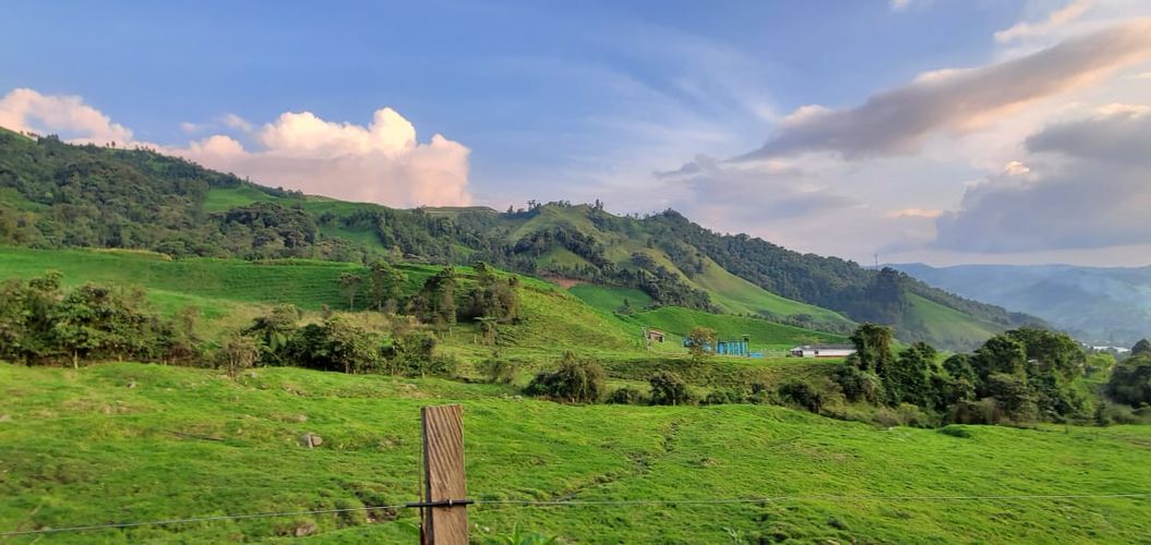 Lote en venta en Malteria, Manizales, 19200 m² · foto 5 de 19