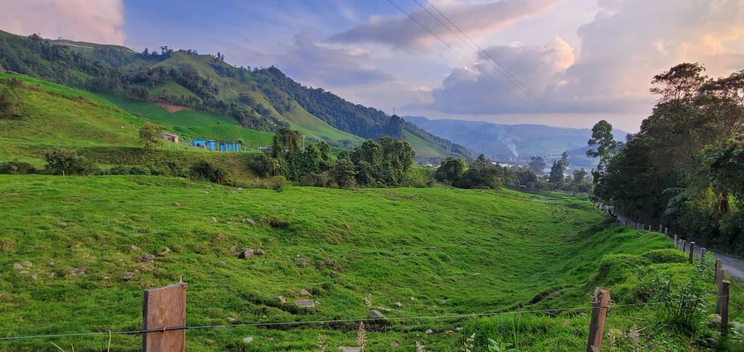 Lote en venta en Malteria, Manizales, 19200 m² · foto 6 de 19