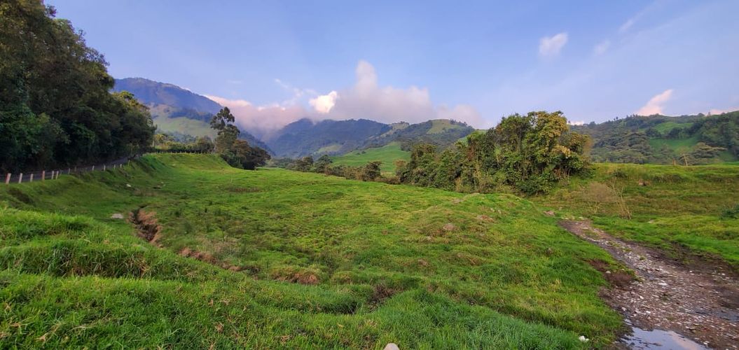Lote en venta en Malteria, Manizales, 19200 m² · foto 7 de 19