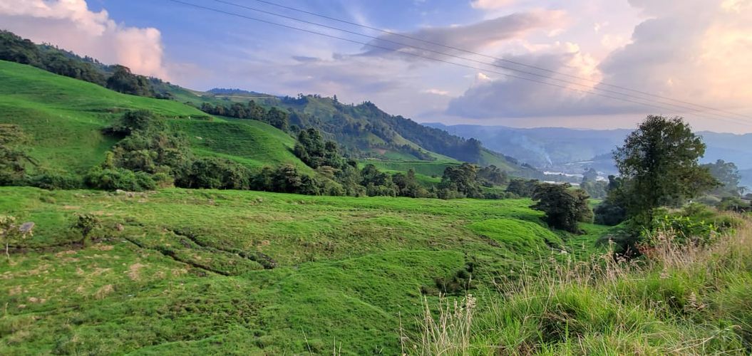 Lote en venta en Malteria, Manizales, 19200 m² · foto 8 de 19