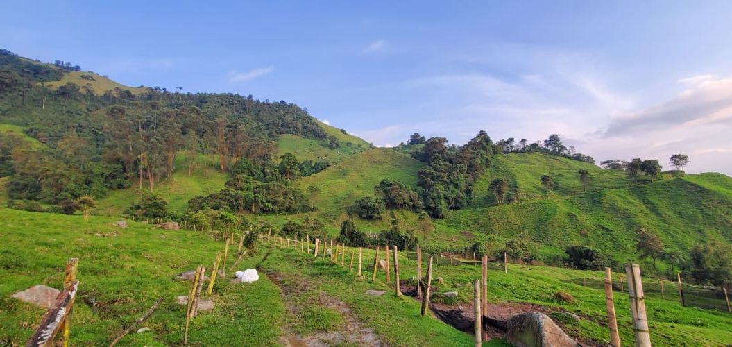 Lote en venta en Malteria, Manizales, 19200 m² · foto 9 de 19