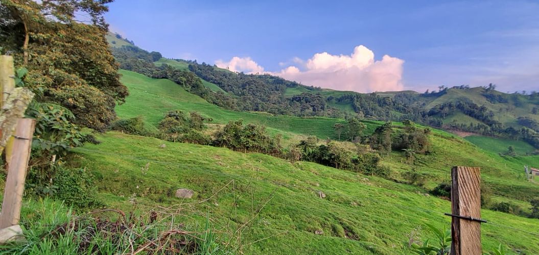 Lote en venta en Malteria, Manizales, 19200 m² · foto 13 de 19