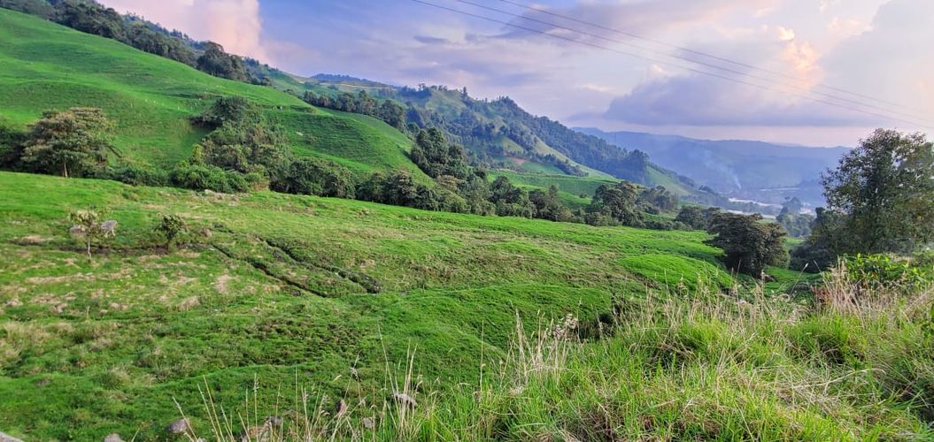 Lote en venta en Malteria, Manizales, 19200 m² · foto 14 de 19