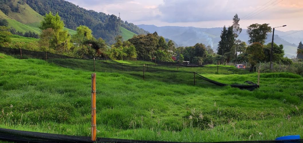 Lote en venta en Malteria, Manizales, 19200 m² · foto 15 de 19