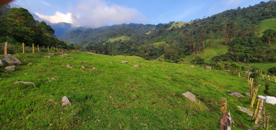 Lote en venta en Malteria, Manizales, 19200 m² · foto 16 de 19