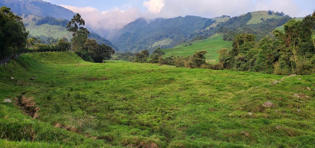 Lote en venta en Malteria, Manizales, 19200 m² · foto 17 de 19