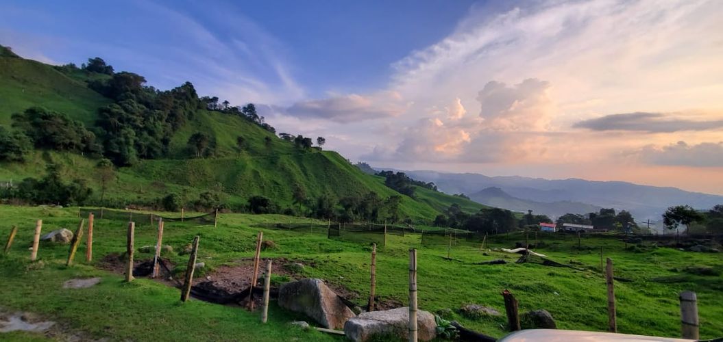 Lote en venta en Malteria, Manizales, 19200 m² · foto 18 de 19