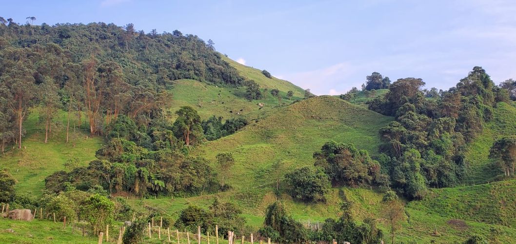 Lote en venta en Malteria, Manizales, 19200 m² · foto 19 de 19