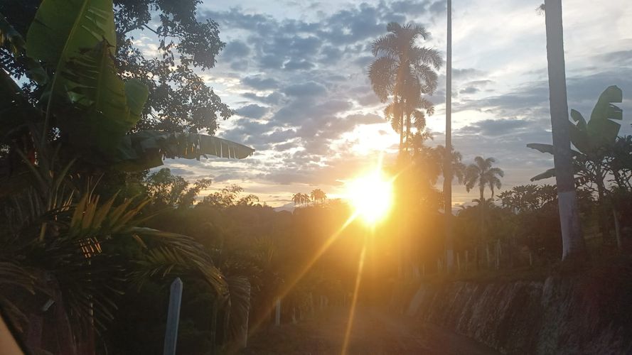Lote en venta en San Jose Sur, Pereira · foto 3 de 6