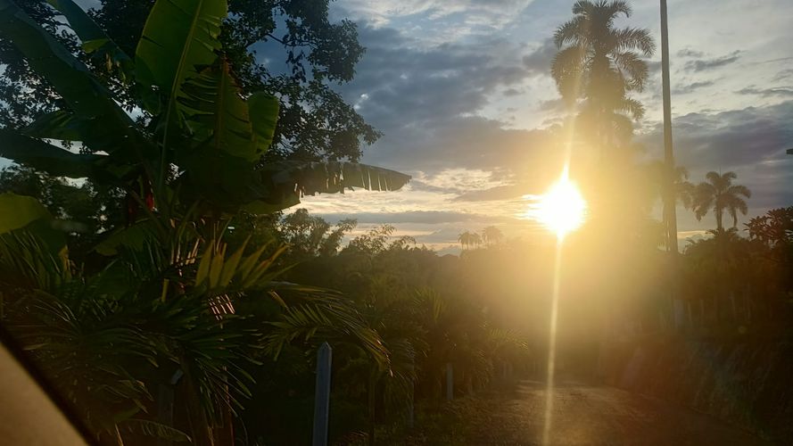 Lote en venta en San Jose Sur, Pereira · foto 4 de 6